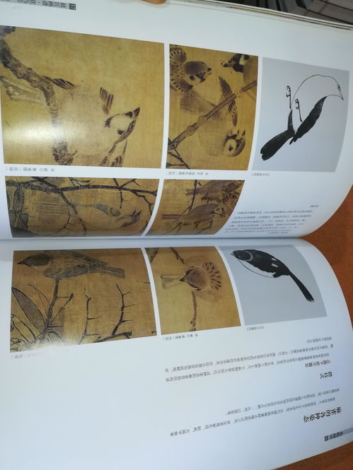 纸嫁衣4第三章太极盒子怎么开 第三章太极盒子打开操作流程
