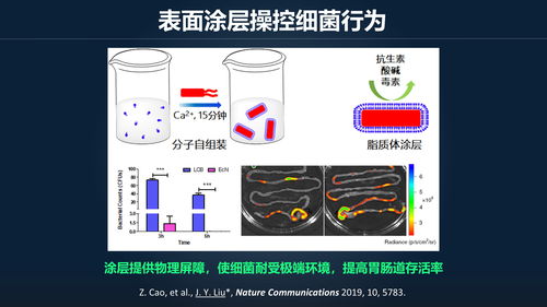 最强蜗牛水滴探测器如何触发 水滴探测器触发条件介绍