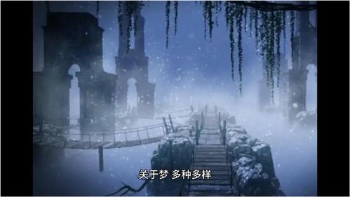无期迷途梦境藏瑕活动答案是什么 梦境藏瑕活动全答案分享