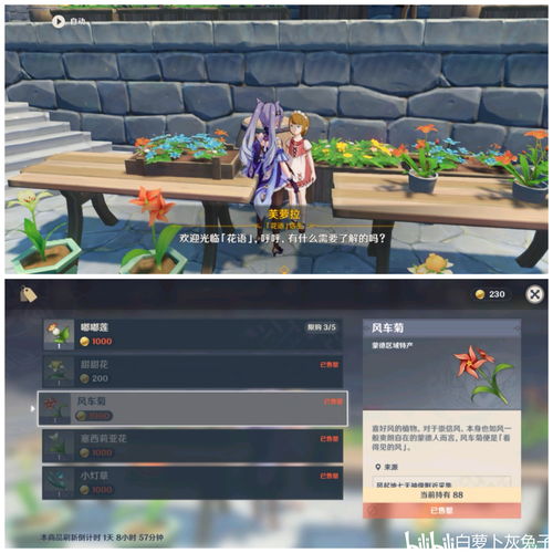 原神3.1版隐藏任务予人以花怎么玩 隐藏任务予人以花完成攻略