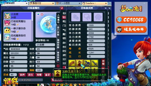 梦幻新诛仙鲨老大怎么打书 鲨老大打书攻略