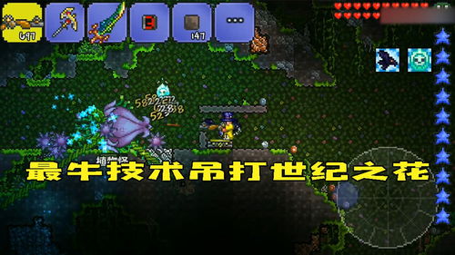 泰拉瑞亚花靴配饰有什么特色 花靴配饰明细