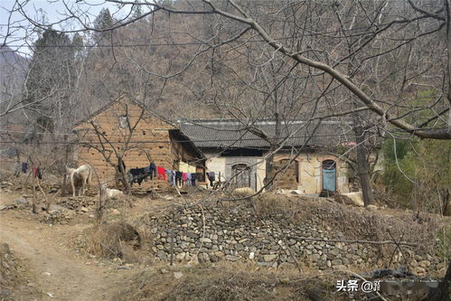 解忧小村落怎么赚钱 赚钱技巧