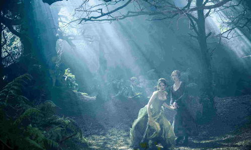 创造与魔法微光森林在哪里 微光森林位置