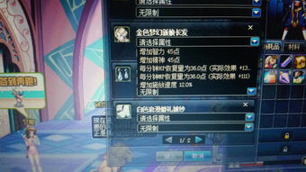 长安幻想熊选什么属性好 熊属性推荐