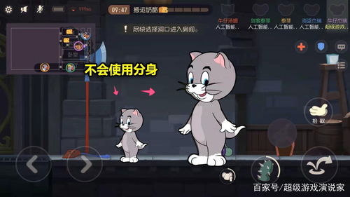 猫和老鼠手游哪只猫最厉害 猫的强度排名