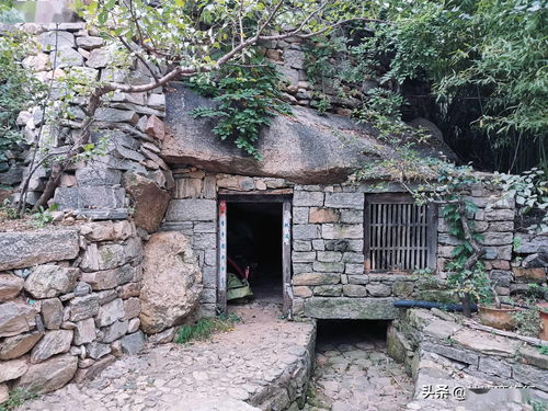 桃源深处有人家村民喜欢什么 村民喜好