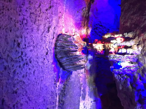 帕斯卡契约怎么过地下溶洞?地下溶洞打法攻略