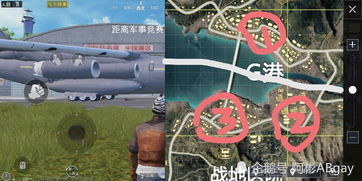 和平精英白熊和恐龙伏地效果对比详解攻略