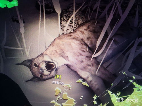 猎人野性的呼唤哪里动物多 猎人野性呼唤怎么打鹿比较简单
