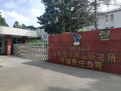 晶核coa什么职业厉害 晶核coa平民玩什么职业