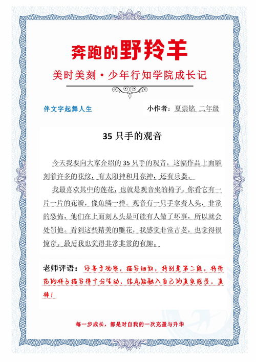 新庄园时代四方集市营业时间是几点 四方集市营业时间介绍一览