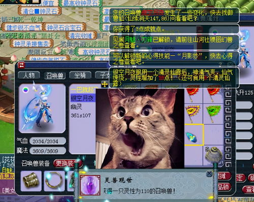 梦幻西游召唤兽进阶怎么做 召唤兽进阶攻略