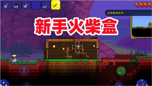 泰拉瑞亚铁链怎么做 泰拉瑞亚铁链教程分享