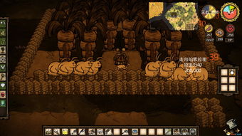 饥荒肉汤怎么做 饥荒肉汤制作教程