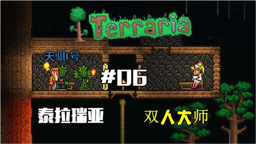 泰拉瑞亚痛苦亡魂有什么用 痛苦亡魂的作用及出现条件介绍