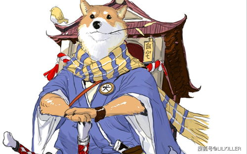 阴阳师柴犬守护哪里多 犬神全部位置大全2023