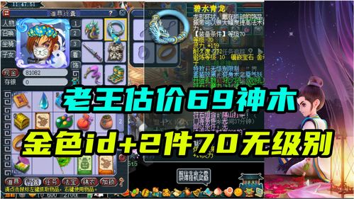 《极无双2》金色品质宝物介绍