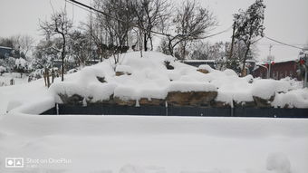 瑞雪兆丰年《一梦江湖》晴雪节全外观即将上线