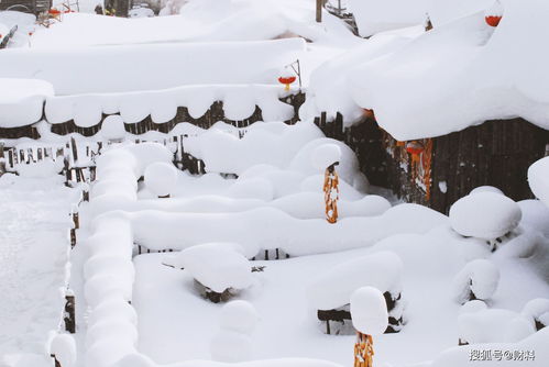 冬日初雪,暖绒相伴,《梦幻西游》手游暖冬初雪活动温暖上线! 冬日初雪,暖绒相伴,《梦幻西游》手游暖冬初雪活动温暖上线!
