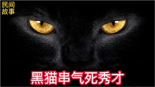 《黑猫奇闻社》：灵异探案下的有趣乙游