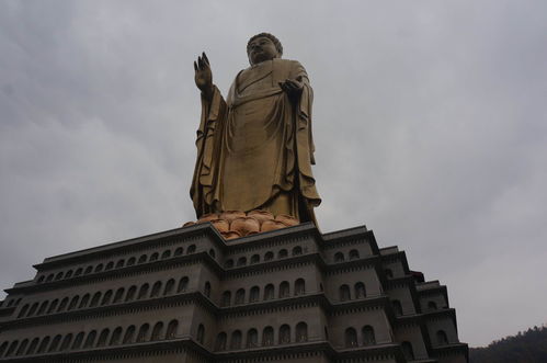 打破次元传承经典-南京剪纸非遗联动时装华丽亮相