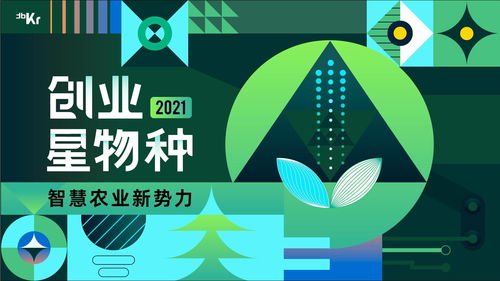 新征程，新面孔未来之星携手里程碑系列登场