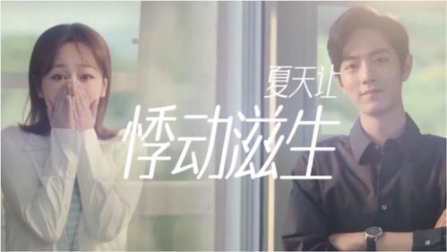 《推理学院》情人节征文：谈判专家与医生的甜蜜之恋