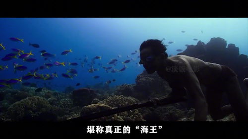 1分钟智能鉴定“海王”《大航海时代：海上霸主》发布“海王”鉴定机