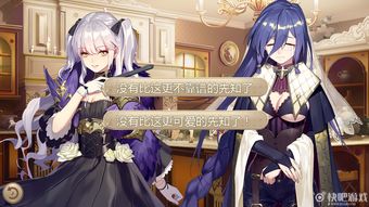 《姬魔恋战纪》赵赵的奇妙冒险