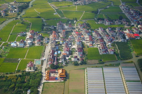 《模拟城市：我是市长》开元古都地区环卫建筑曝光
