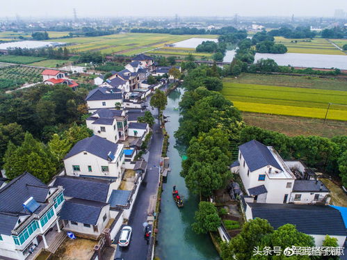 《模拟城市：我是市长》揭秘开元古都地区的特色产品