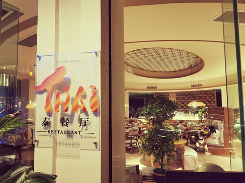 《环行旅舍》：平稳落地的年度最穷二游