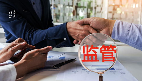 【活动爆料】行家功夫一出手-那就知道有没有
