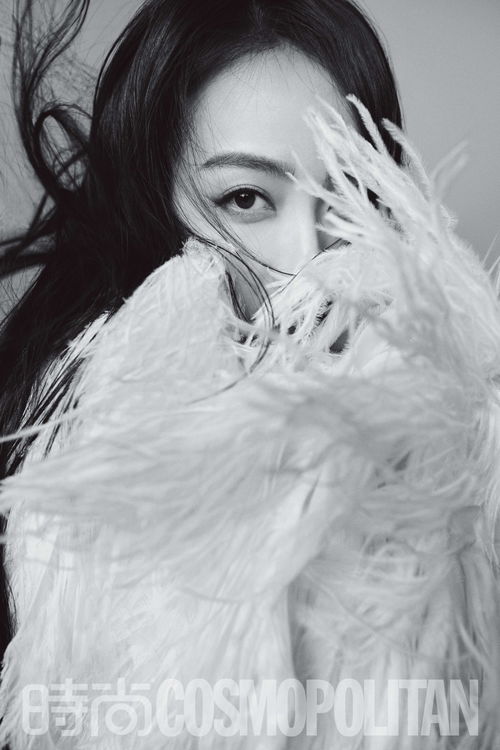 旷世英才“黑天鹅”,不露圭角择时而发