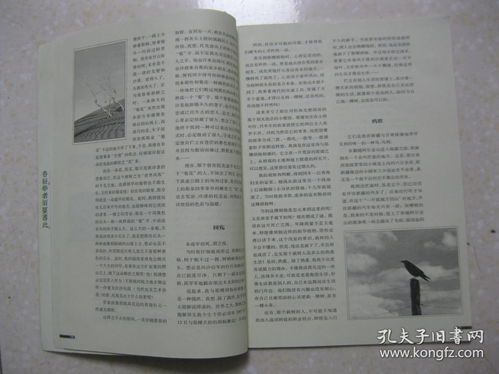 《淡墨水云乡》 首测定档10月10日开启你的种田人生！