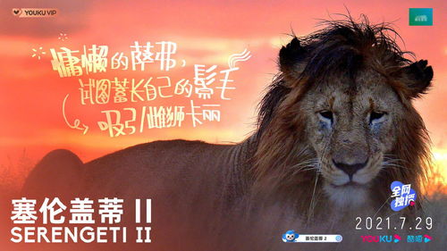 温暖冬日，2023年狼人杀冬季星主播活动开启