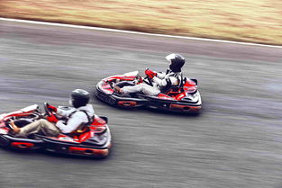 职业赛车登场《和平精英》X国际汽联电动方程式锦标赛推出Gen 2载具皮肤！