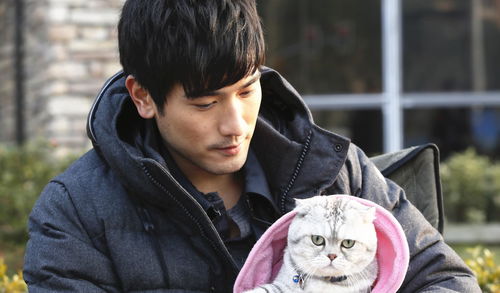 高以翔去世后焦俊艳再发声