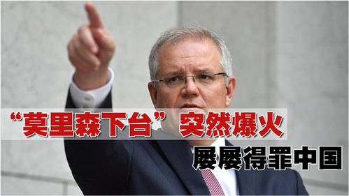 对林火反应迟缓支持率大跌，澳总理决定拨款2.4亿元救动物