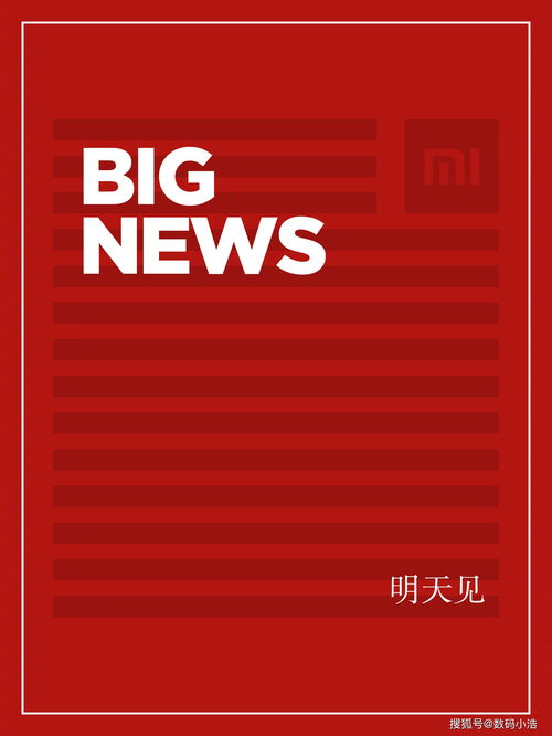 官宣：武汉地区小米之家暂停营业