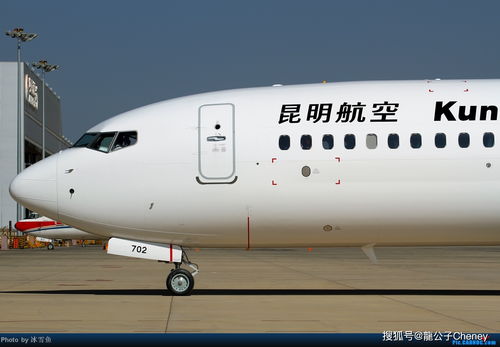 首尔飞南京航班发现3名发热乘客