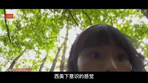 日本经典恐怖片《咒怨》将改编成电视剧