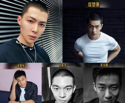 屈楚萧否认恋情，万籽麟：刚刚得知被分手了