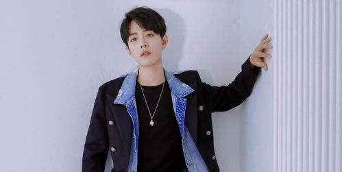 网传何炅推荐肖战参加《向往的生活》，肖战发声回应此事