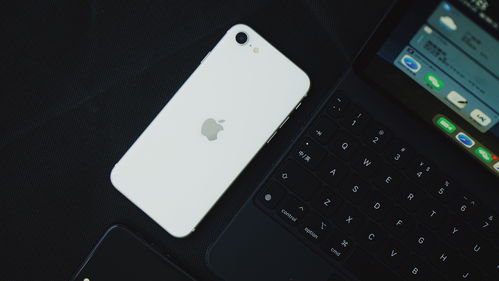京东自营iPhone XR降价