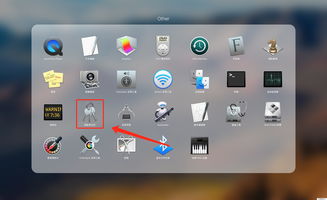 iOS 14新料曝光：Apple Pay或集成支付宝
