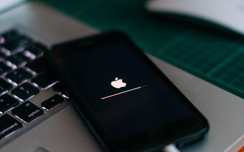 苹果iOS14降级教程,iOS14怎么降级到iOS13攻略！