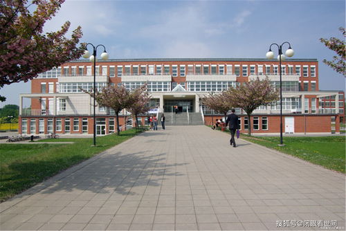 复旦大学送别毕业生的方式这么酷炫？网友：别人家的大学