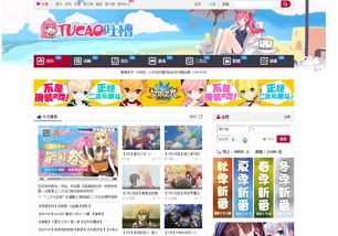 dilidili创始人及员工因盗播动漫作品被捕，D站和B站有什么关系？